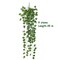 2pcs Artificial Hanging Plants Fake Hanging Greenery Leaves Faux Ivy Vine for Indooor Outdoor Decor Home Room